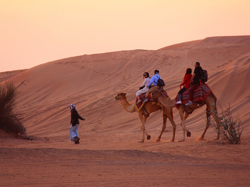 camel-safari-gallery1
